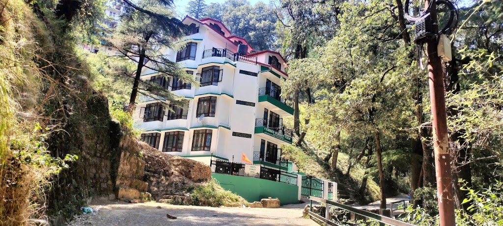 Green Forest View