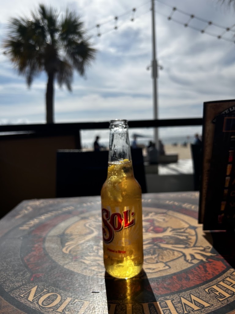 The White Lion — Mas recientes