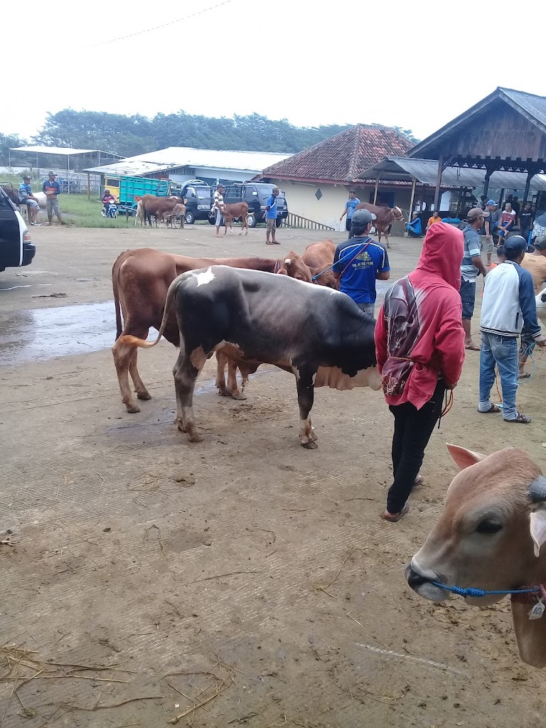 Green Nitrogen Bojong Bata Pemalang