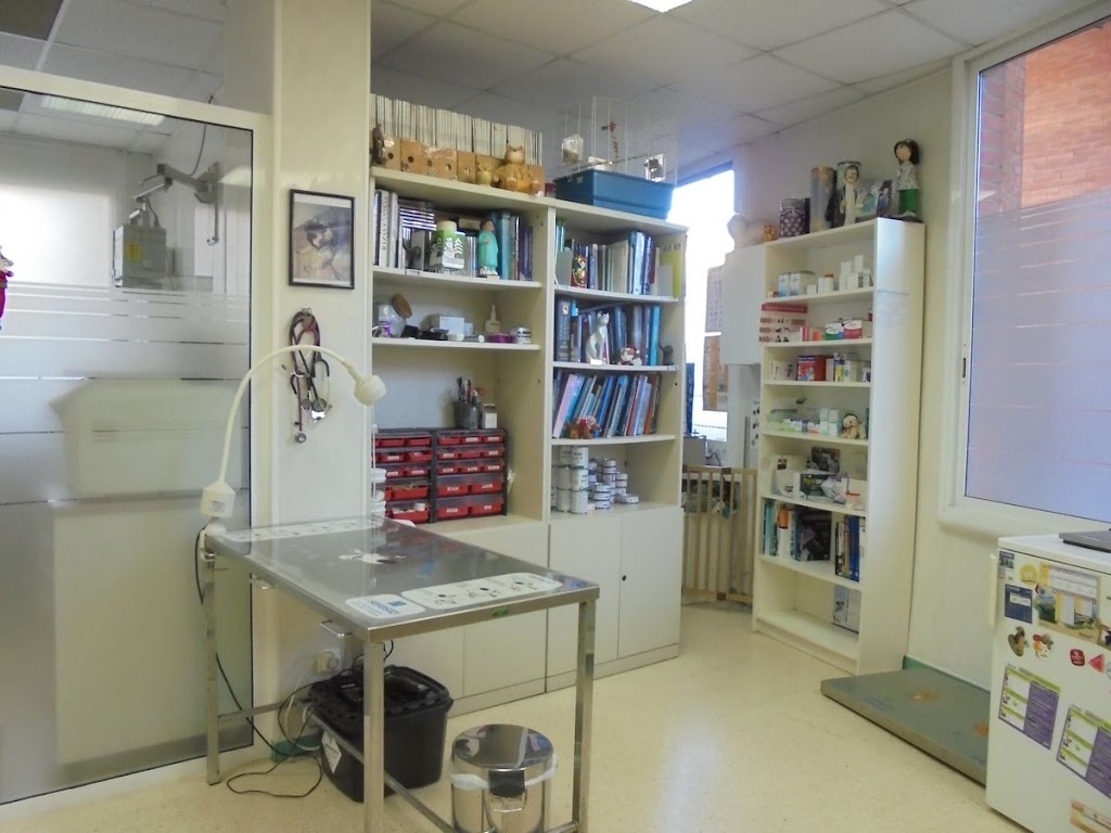 Clinica Veterinaria Vilaplana