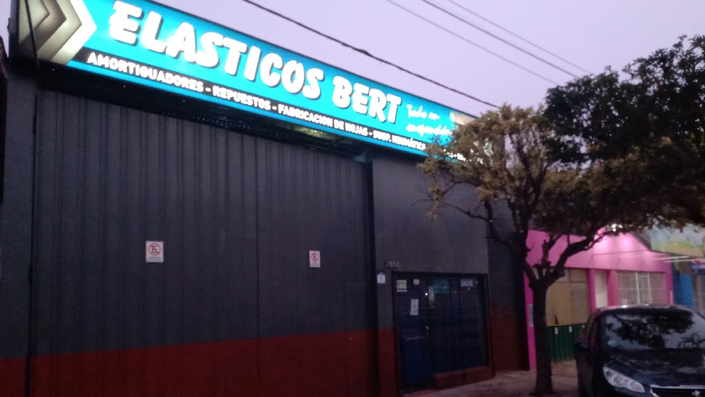 Elasticos Bert