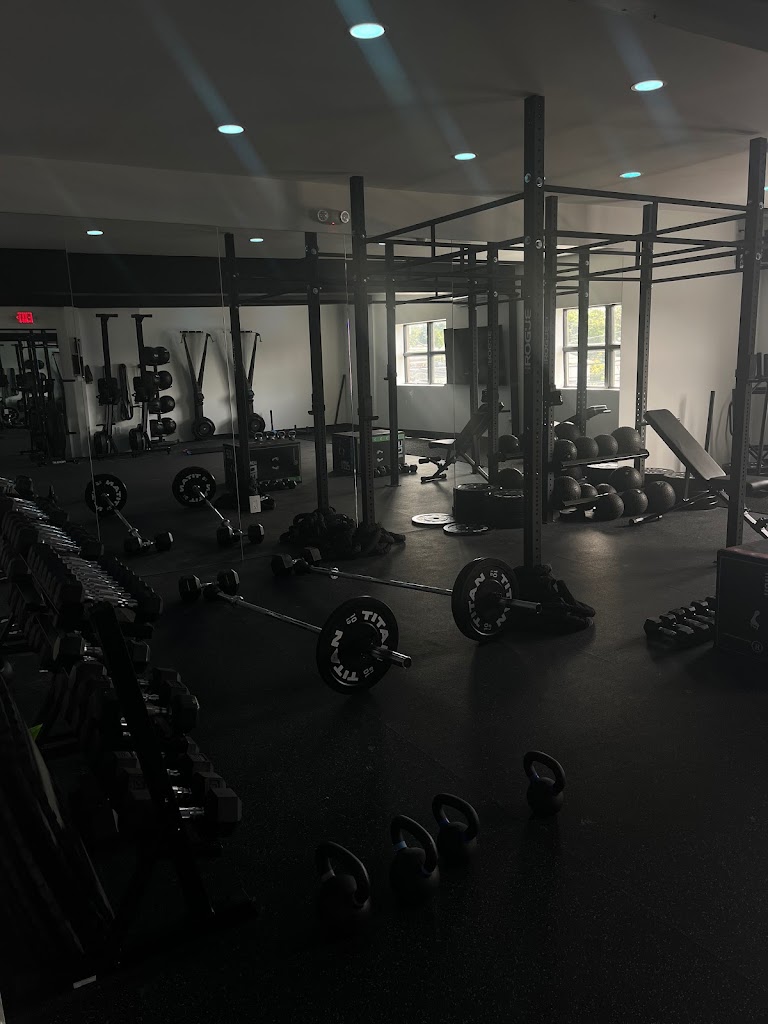  Beast Fitness Training