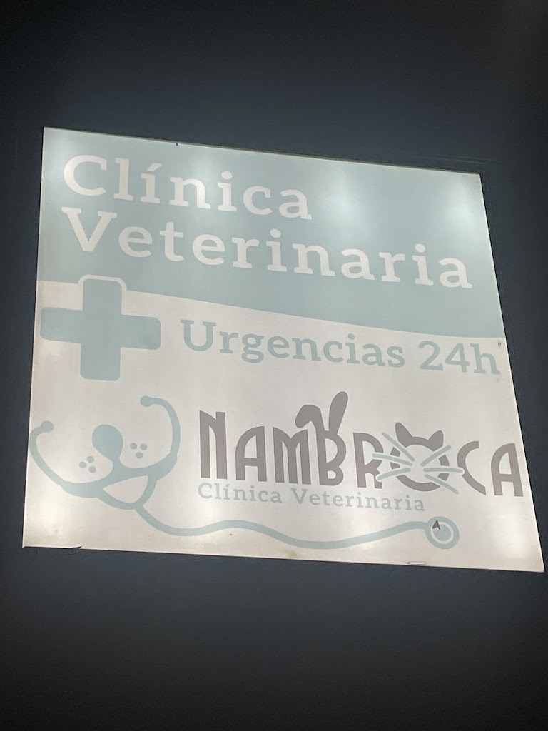 Clinica Veterinaria Nambroca — Del propietario