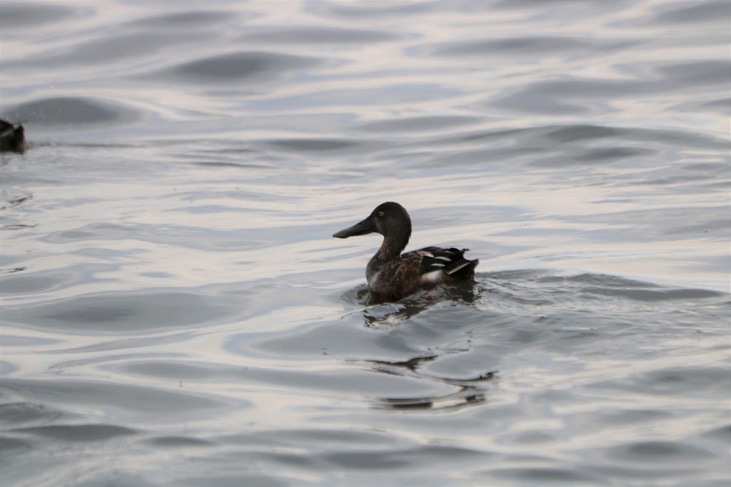 Muskegon County Wastewater Management