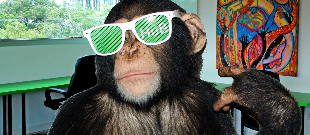 Hub