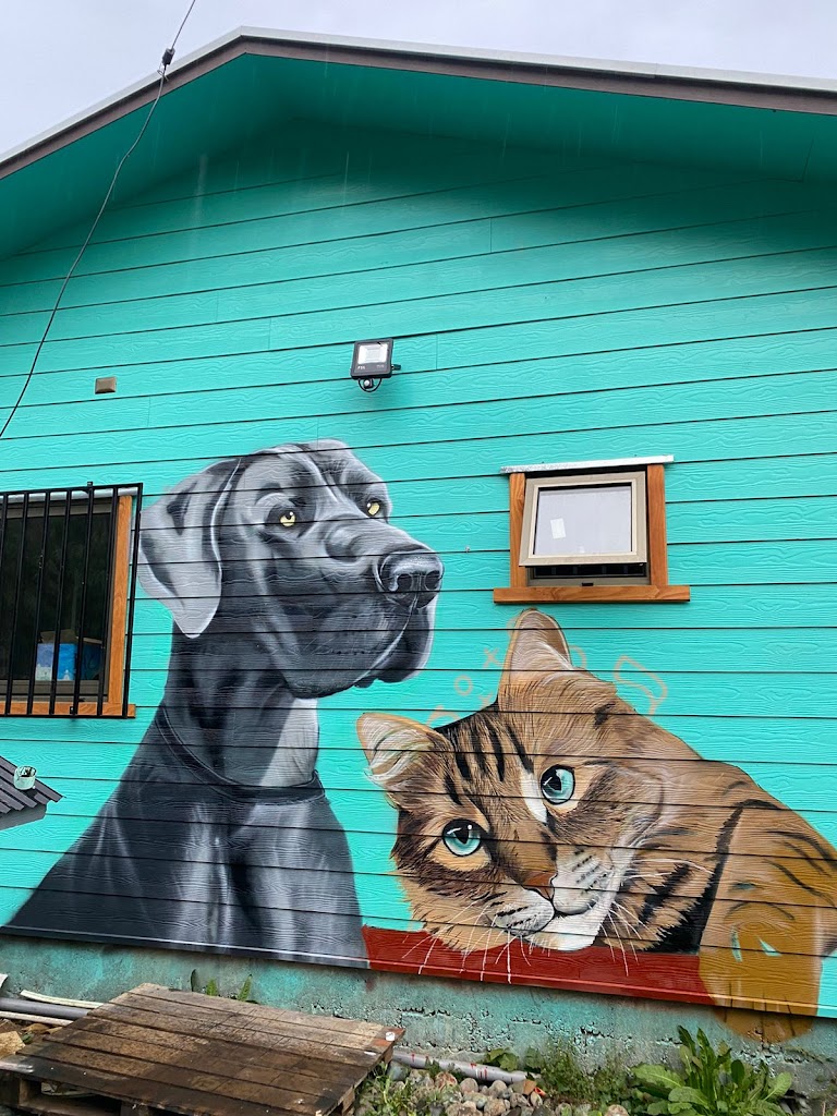 Gato