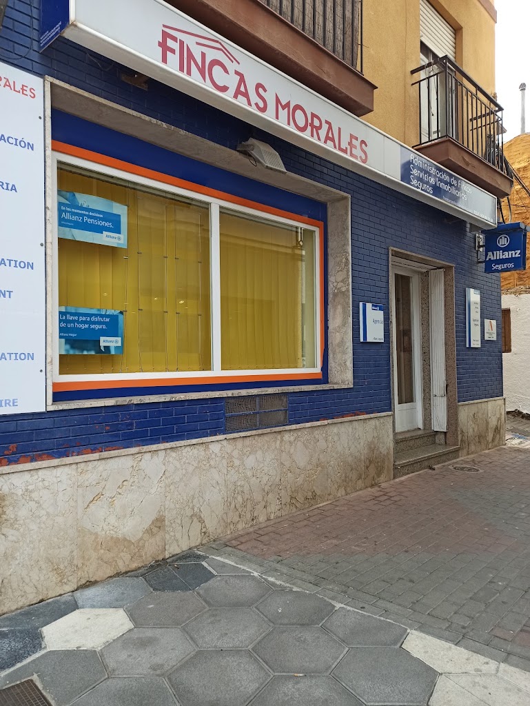 Allianz Seguros Almunecar - Agente M. Raul Rodriguez Munoz — Exterior