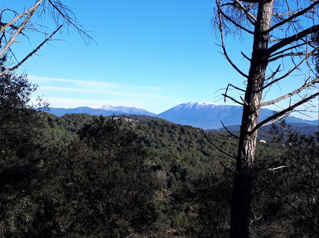 Plana del Fum