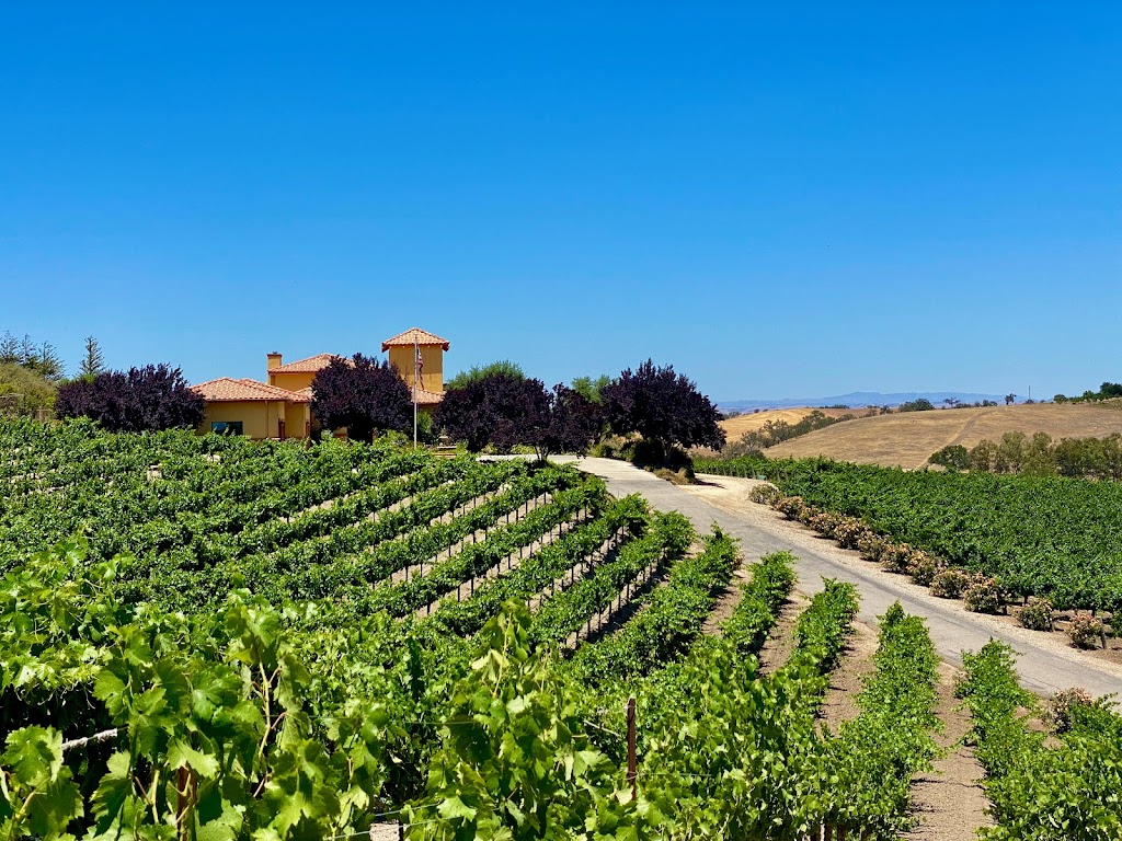 Vineyard