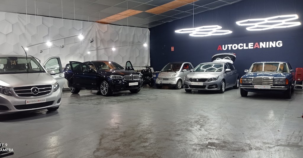 AUTOCLEANING — Del propietario