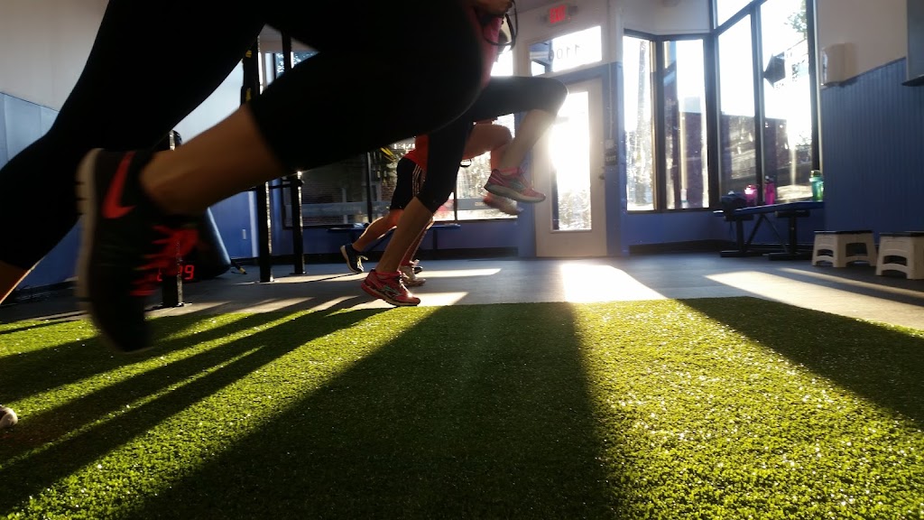  Next Step Performance