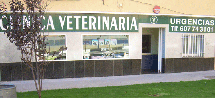 Clinica Veterinaria Alcobendas