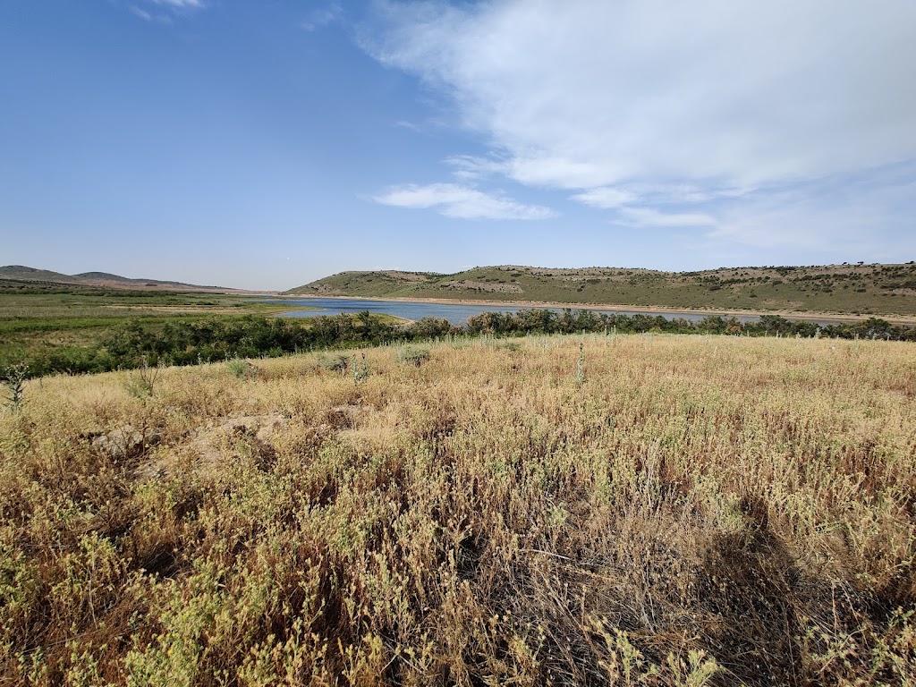 Paraje de la Solana (Mora)