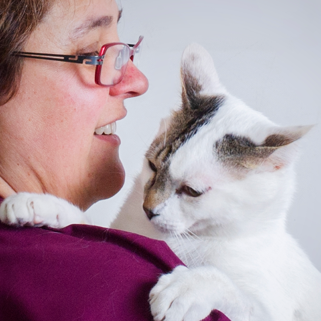 Clinica Veterinaria Zarpa — Gato
