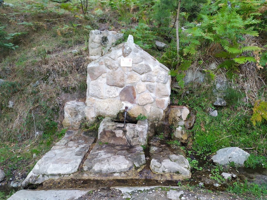 Fuente de los Pinsapos