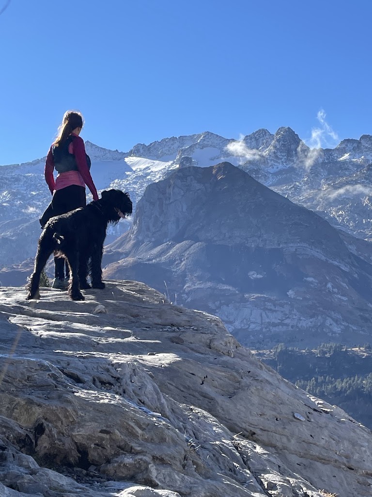 Centre Veterinari del Bergueda SLP — Del propietario