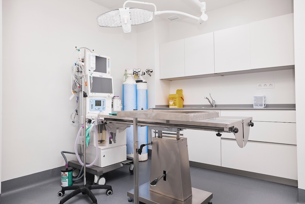 Vetsalud Hospital Veterinario