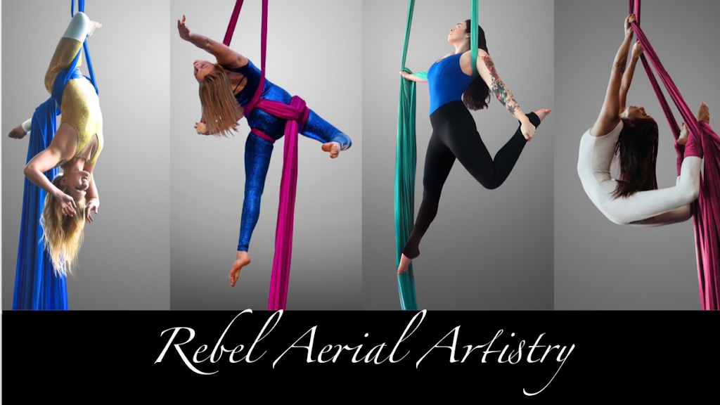  Rebel Aerial Artistry