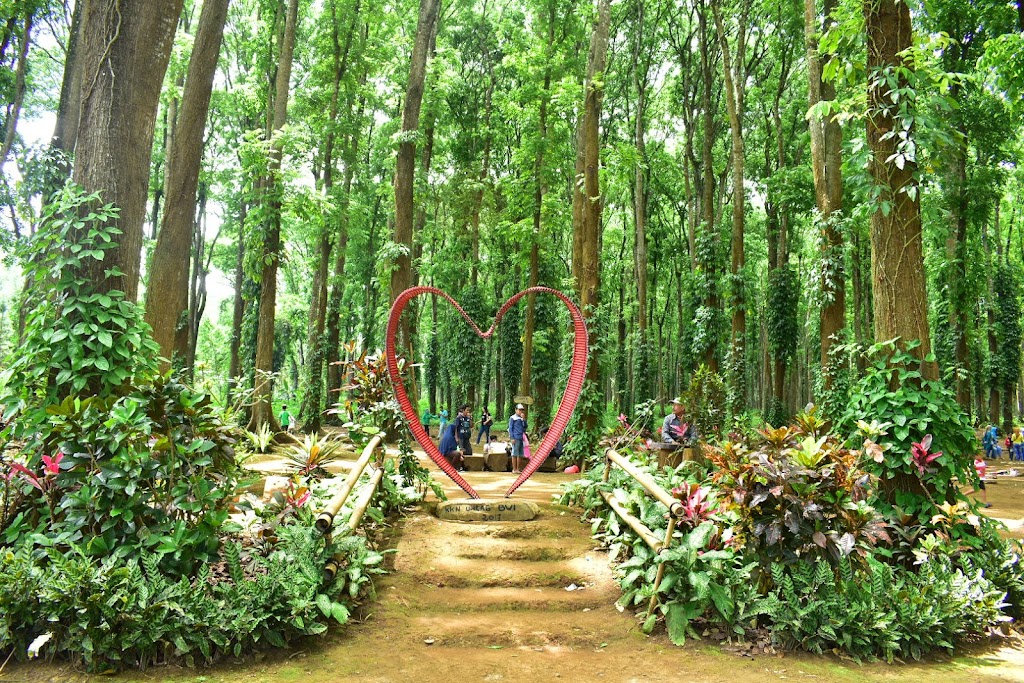 Wana Wisata Dan Bumi Perkemahan Sumber Manis, Suko Gombengsari Banyuwangi