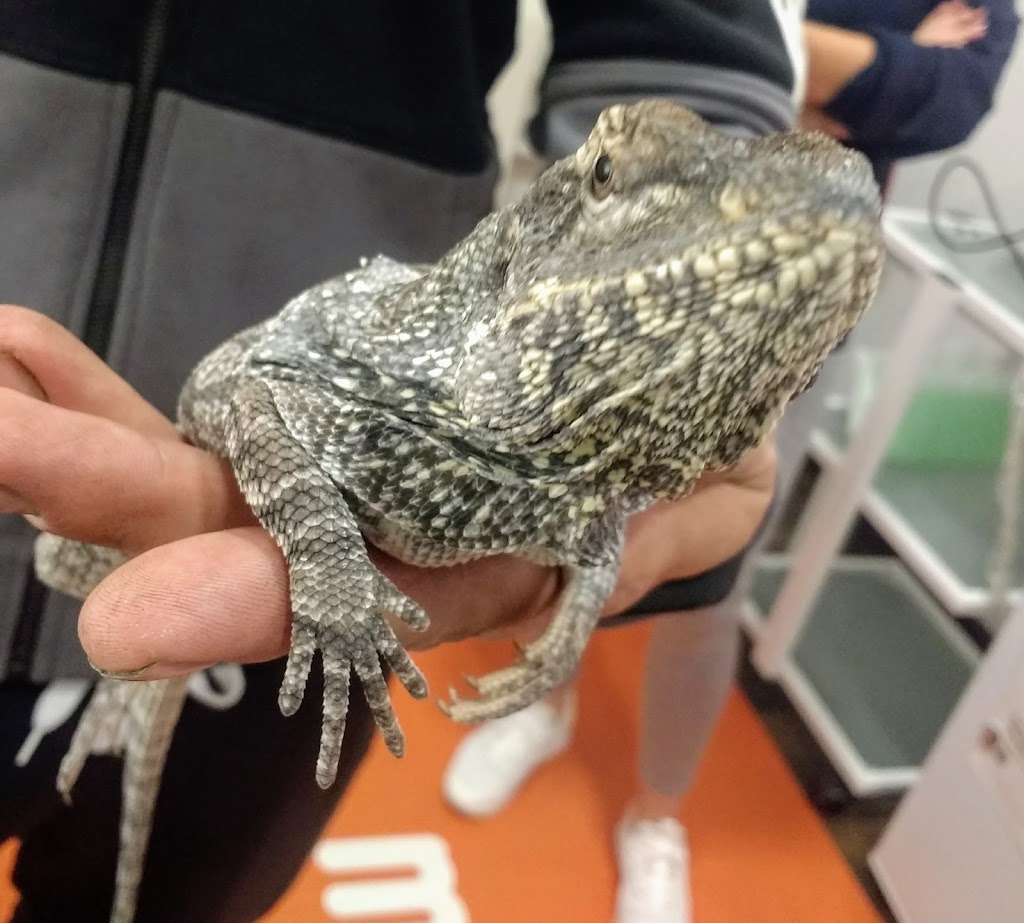 Veterinario Exoticos Granada