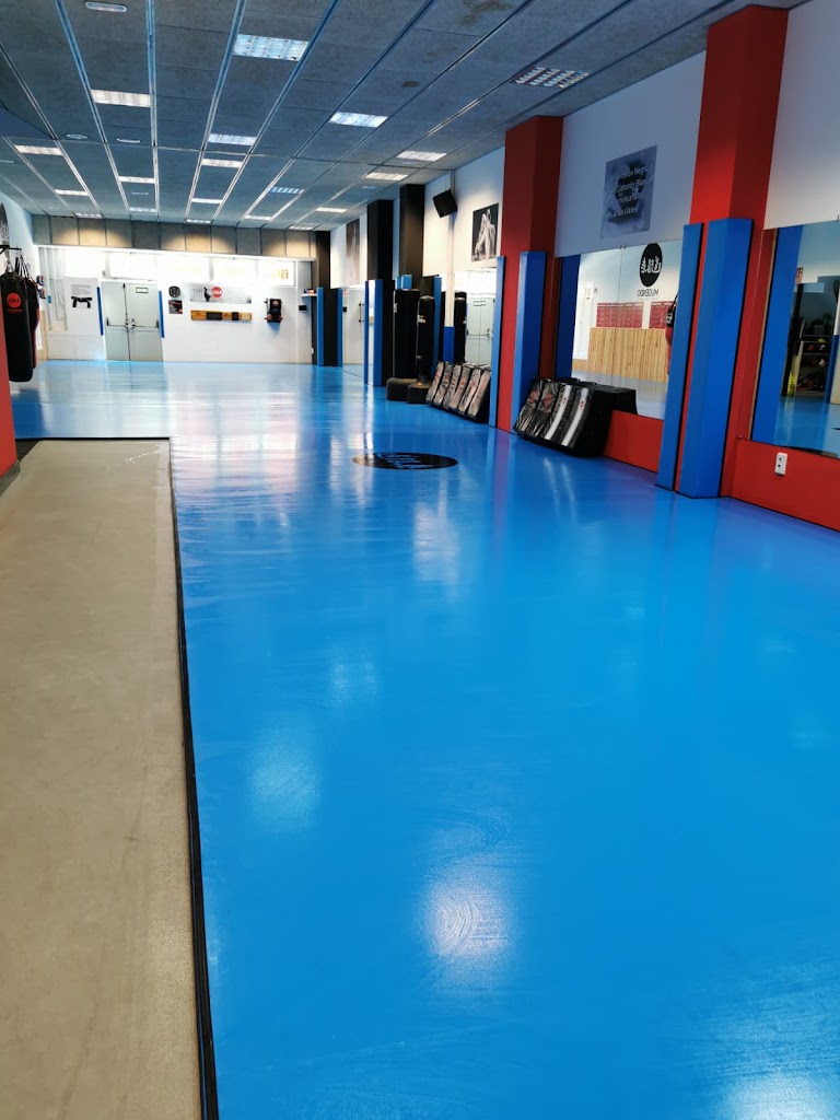 Arts Marcials Prat de Llobregat - Mugendo — Del propietario