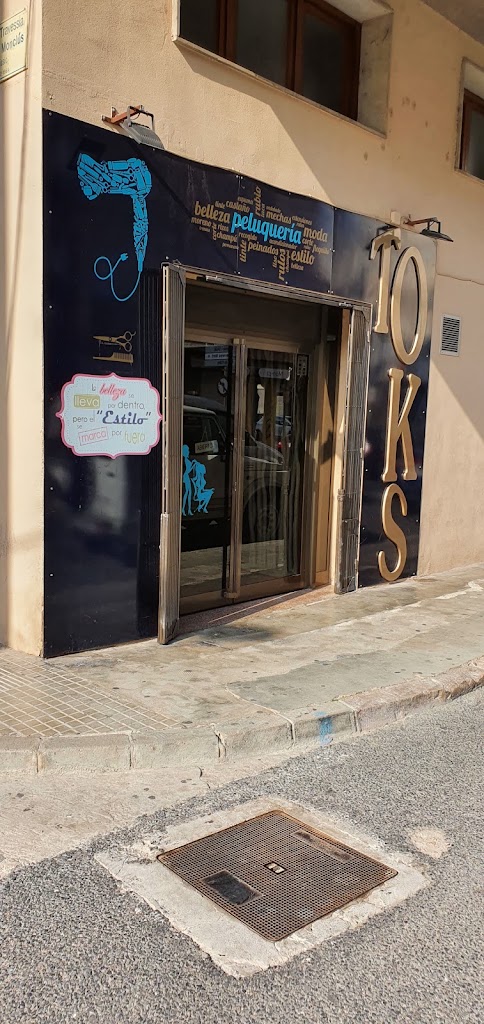 TOKS — Exterior