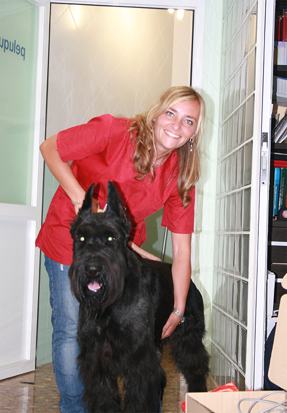 Clinica Veterinaria CostaBlanca — Del propietario