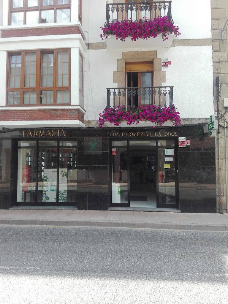 Farmacia"P.Gomez Villalobos"