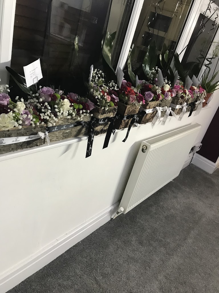 Fi-rose