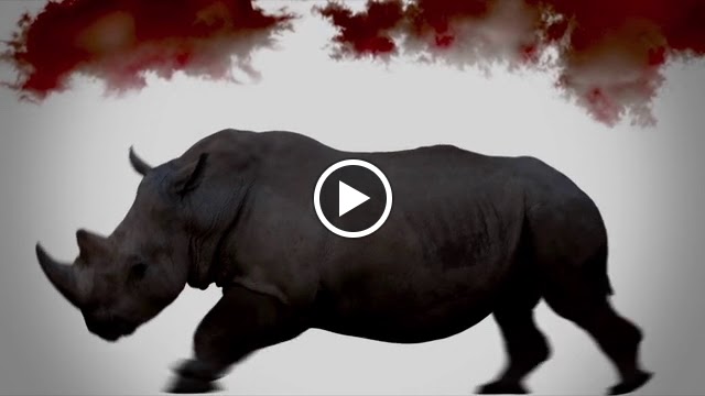  FIRE Fitness Camp Oostburg