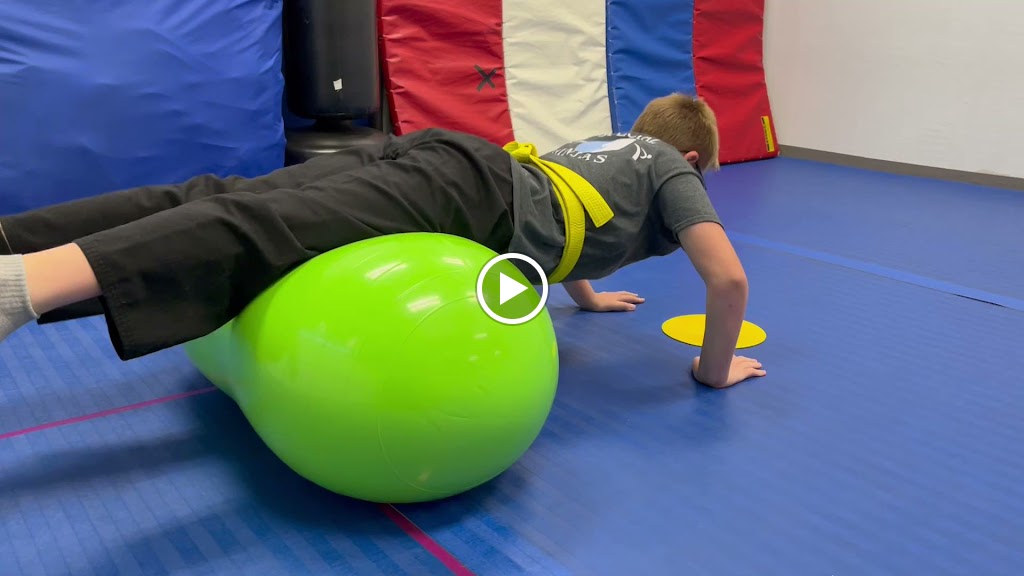  Special Ninjas Therapeutic Martial Arts