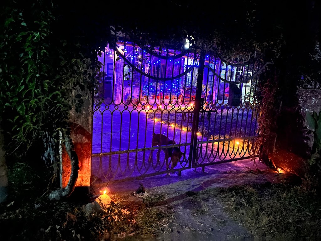 Himmat Guri Farmstead