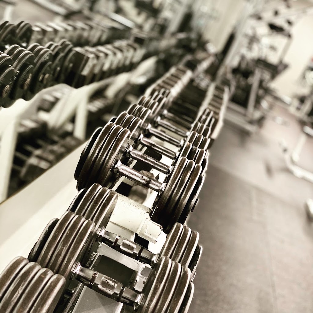  Muscle Shoals Fitness