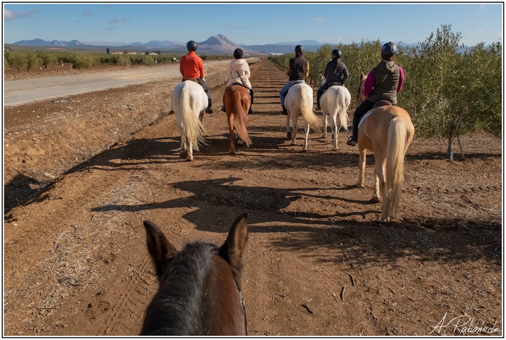EQUIALIA - Club Equitacion Antequera
