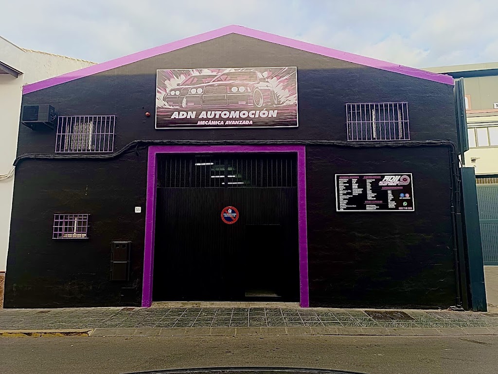 ADN AUTOMOCION