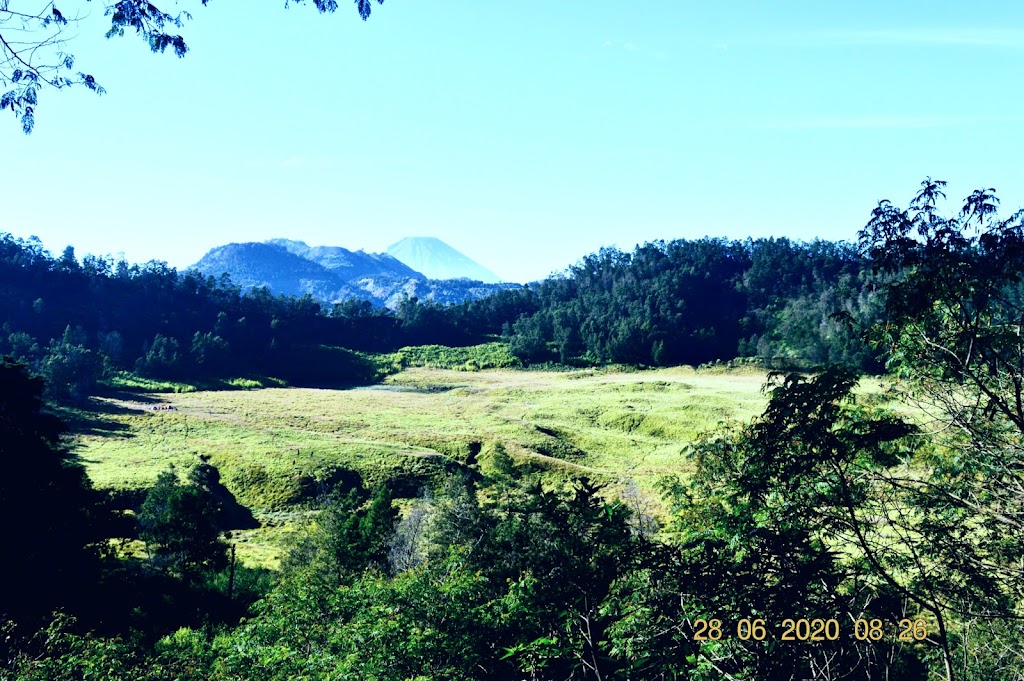 Dieng Bosweisen camping ground