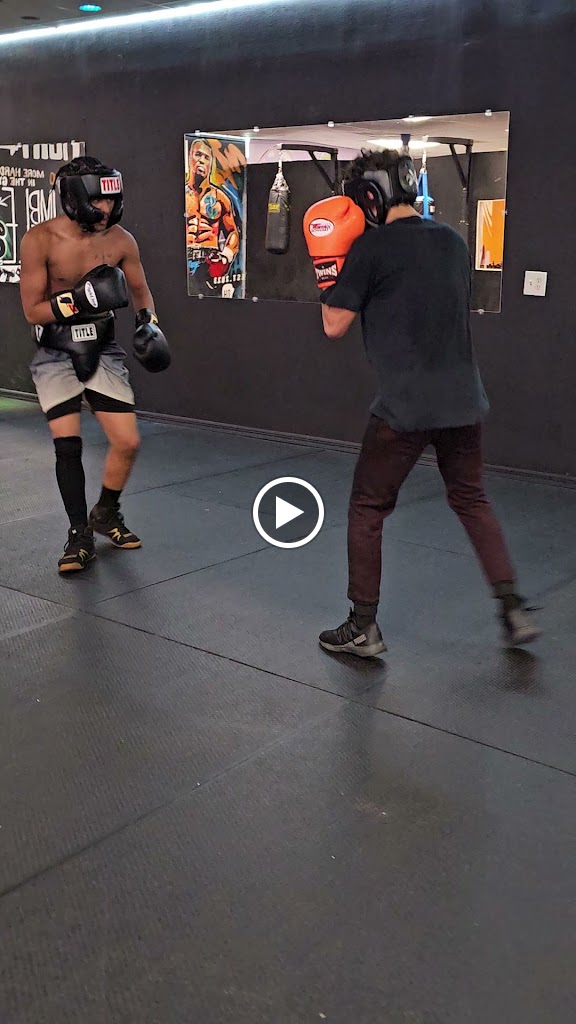  Doghouse Boxing & Fitness