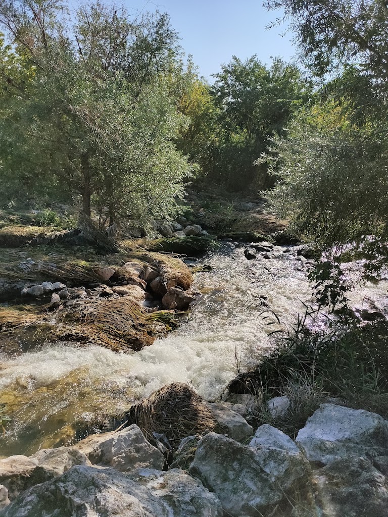 Rio Manzanares - Arroyo Los Migueles