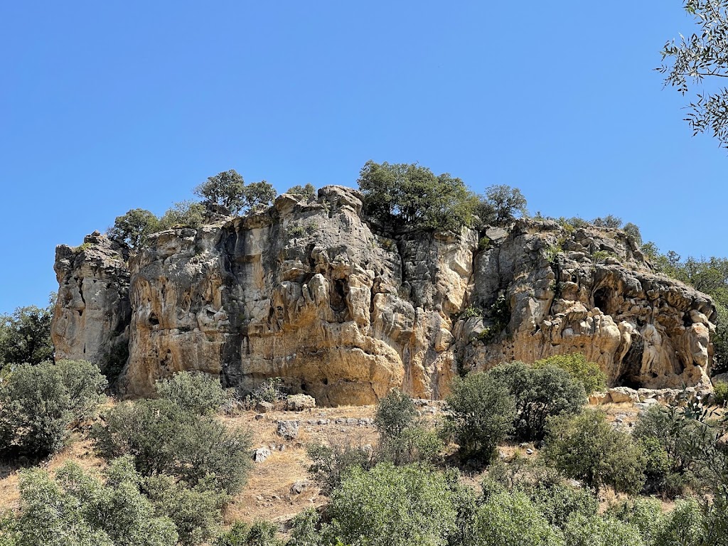 Penarrubia