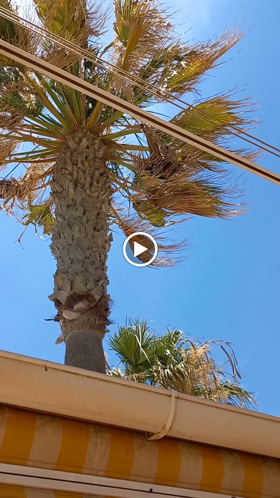 The Mariners Pub — Videos