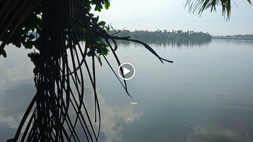 Videos