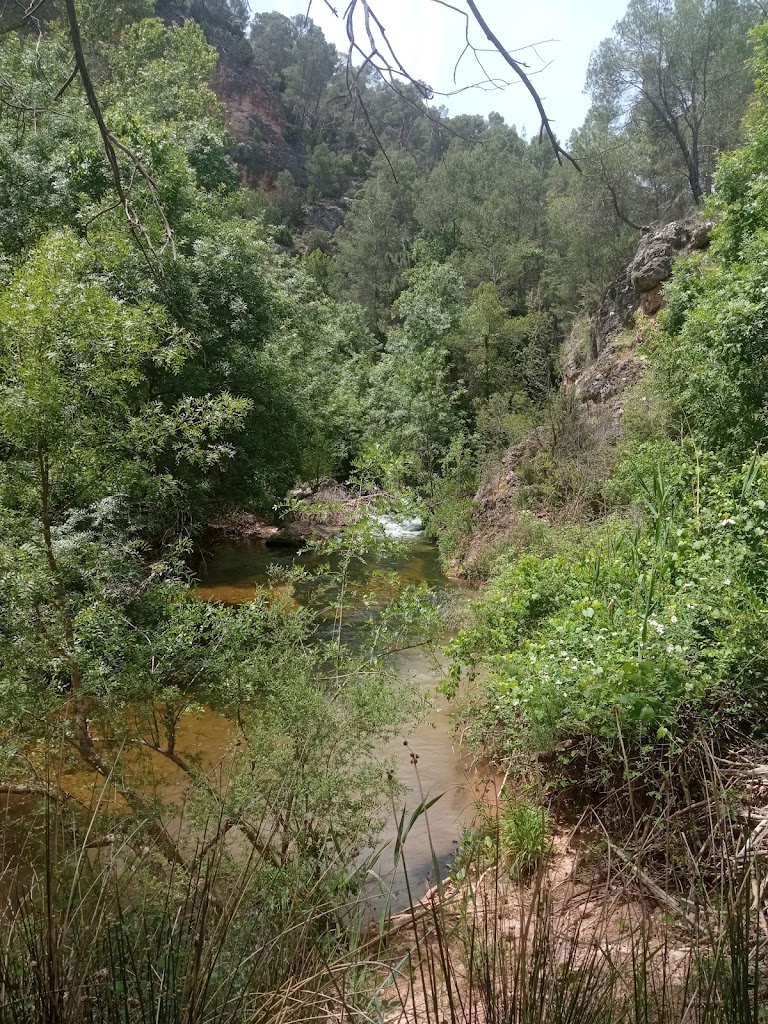 Junta de los rios