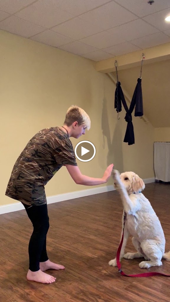 Videos