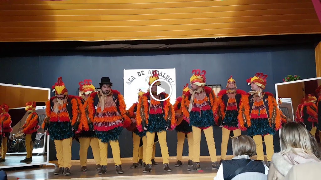 Asociacion Casa de Andalucia en Pinto — Videos