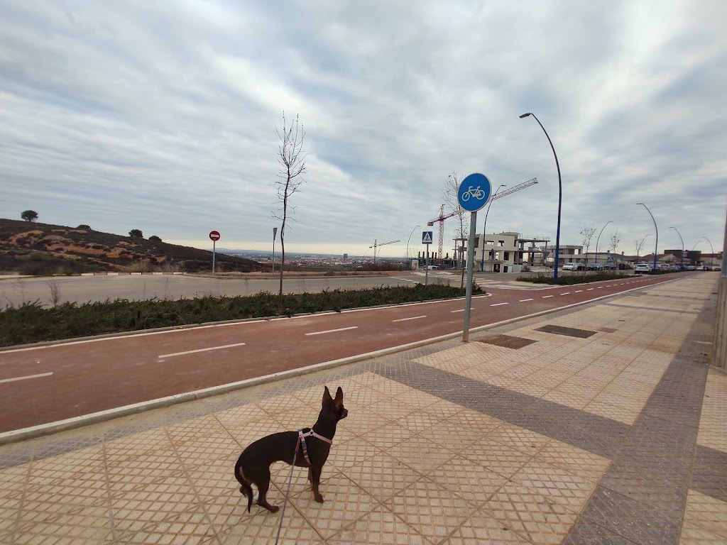 Ruta Las Vaguadas