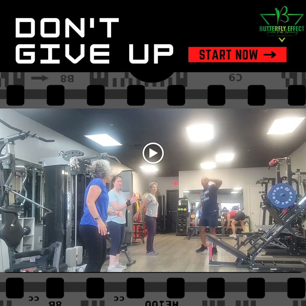  The Butterfly Effect Studio for Training