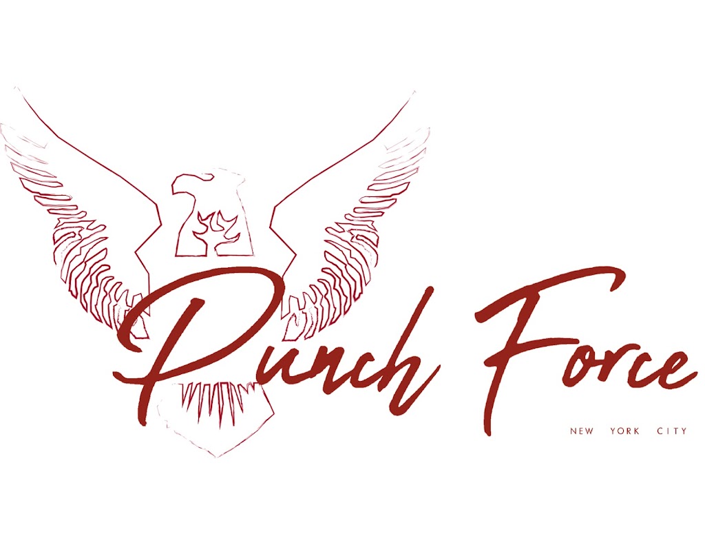  Punch Force Fitness