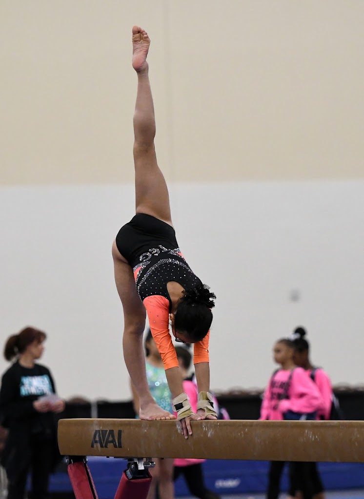  Tennessee Elite Gymnastics