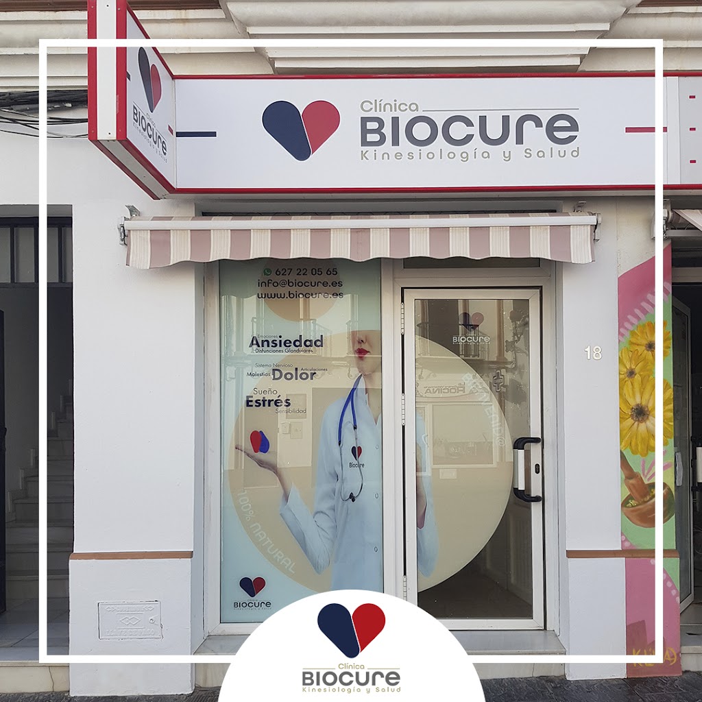 Clinica Biocure. Kinesiologia y Salud