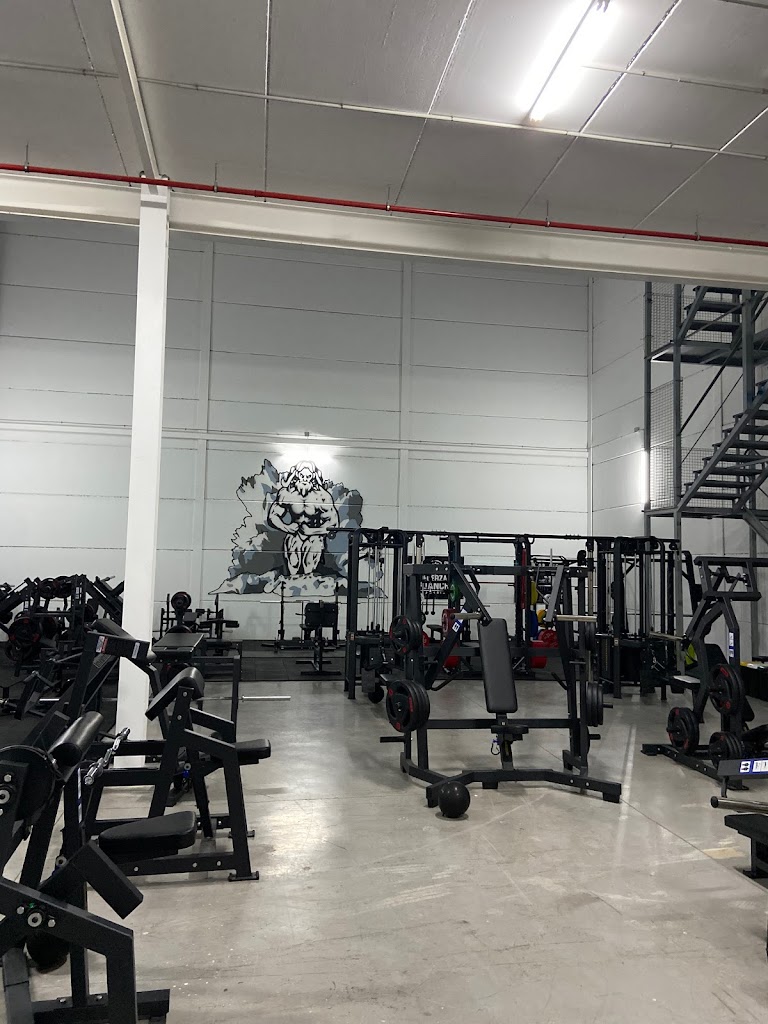 Waves Gym | Gimnasio en Gran Canaria